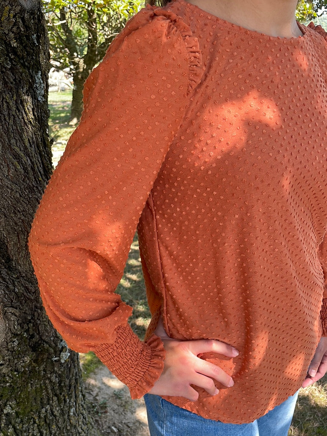 Solid RuffledLong Sleeve Top